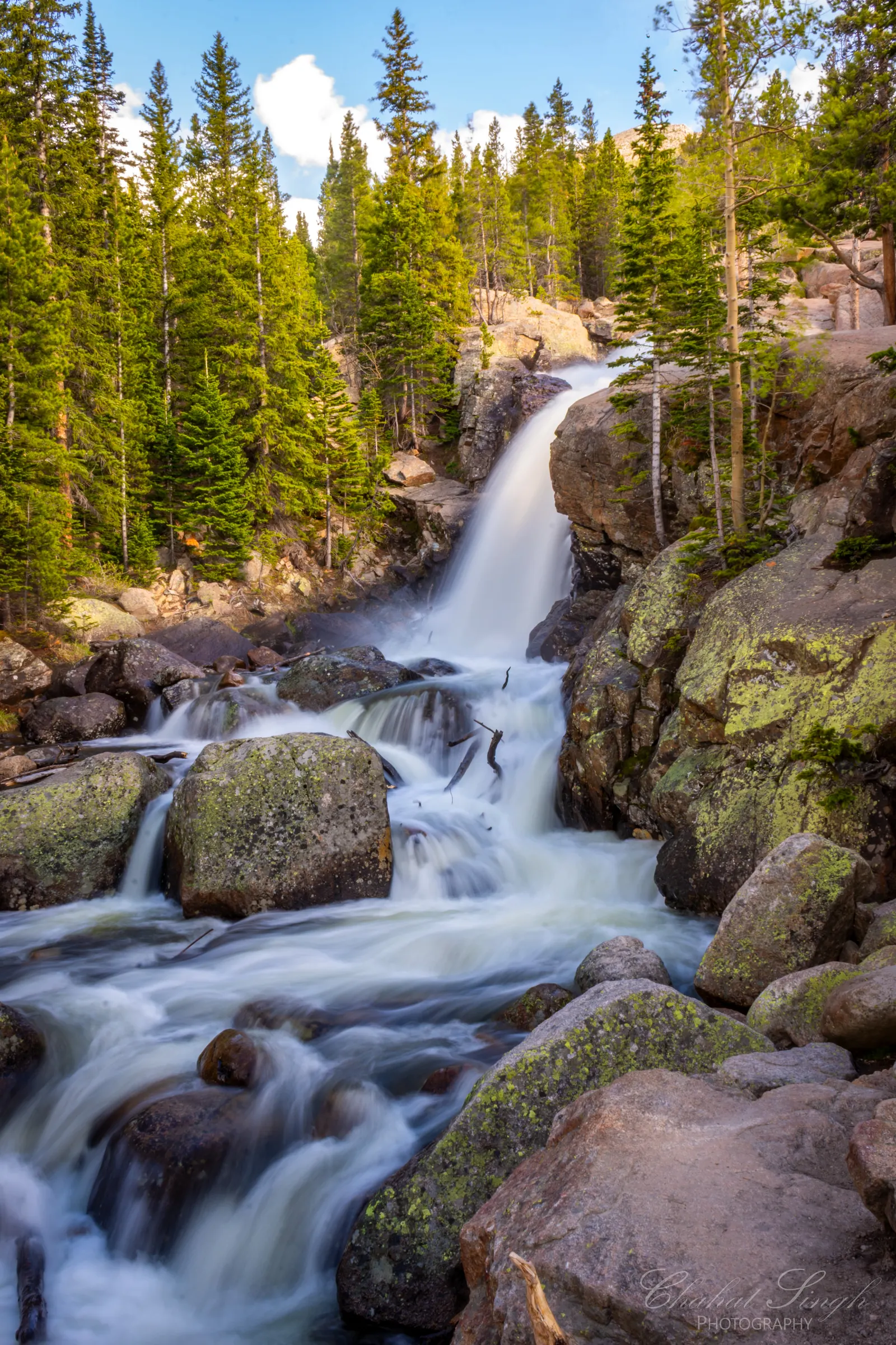 A waterfall cascading over boulders through a pine forest in the mountains.