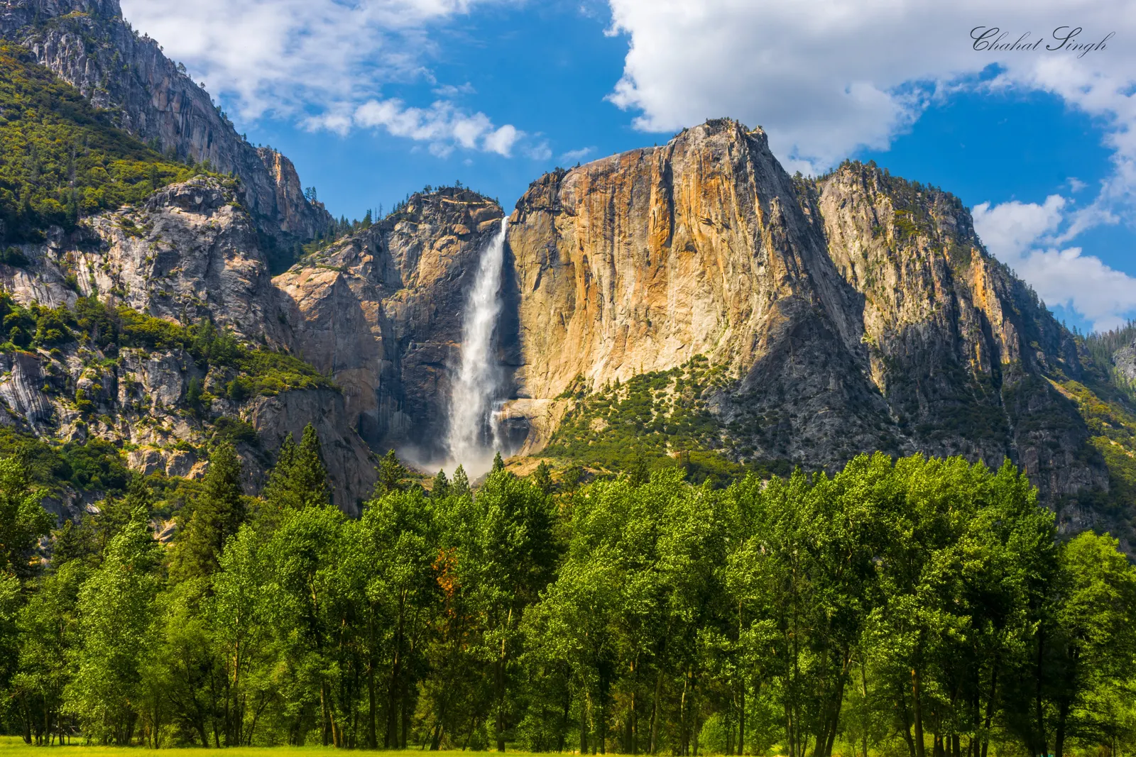 Yosemite Falls cascading down a granite cliff face, green trees in the foreground.